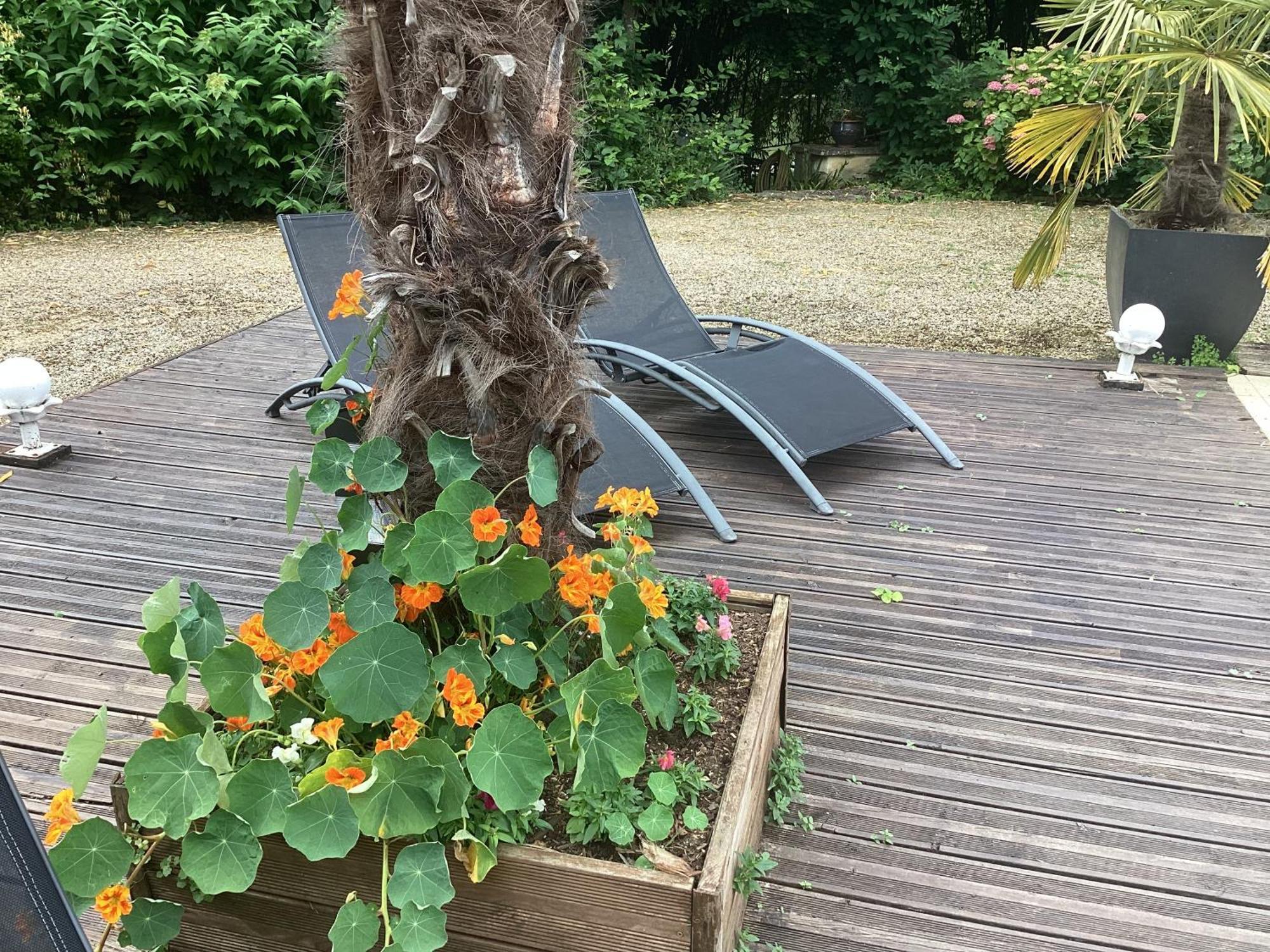 Le Lavoir Bed and Breakfast Châteauroux Exteriör bild